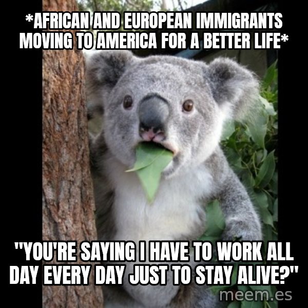 Koala can't believe it meme: *African and European Immigrants moving to America for a better life* / "You're saying I have to work all day every day just to stay alive?"