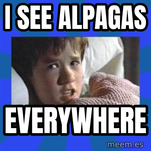 i see dead people meme: I see Alpagas / Everywhere