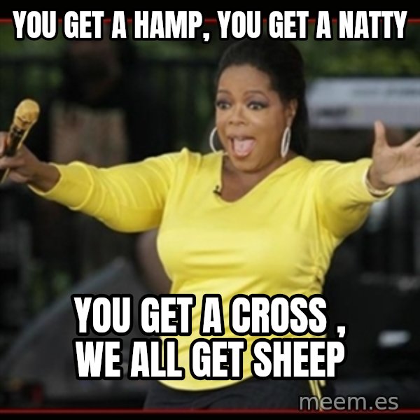 Overly-Excited Oprah!!!  meme: You get a Hamp, You get a Natty / You get a Cross , We all get sheep