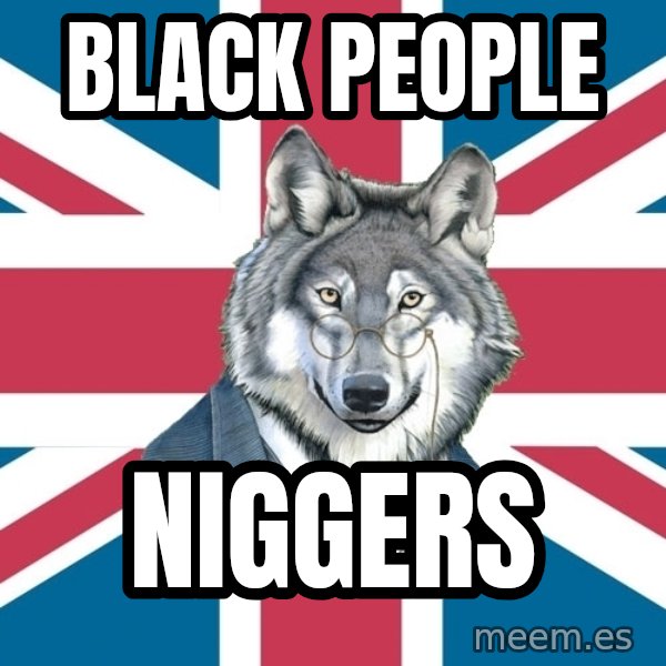 Sir Courage Wolf Esquire meme: black people / niggers