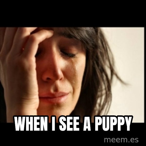 First World Problems meme: When I see a puppy
