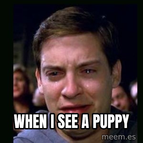 crying peter parker meme: When I see a puppy