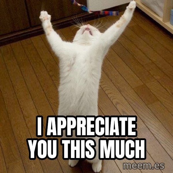 praise the lord cat meme: I appreciate you this much