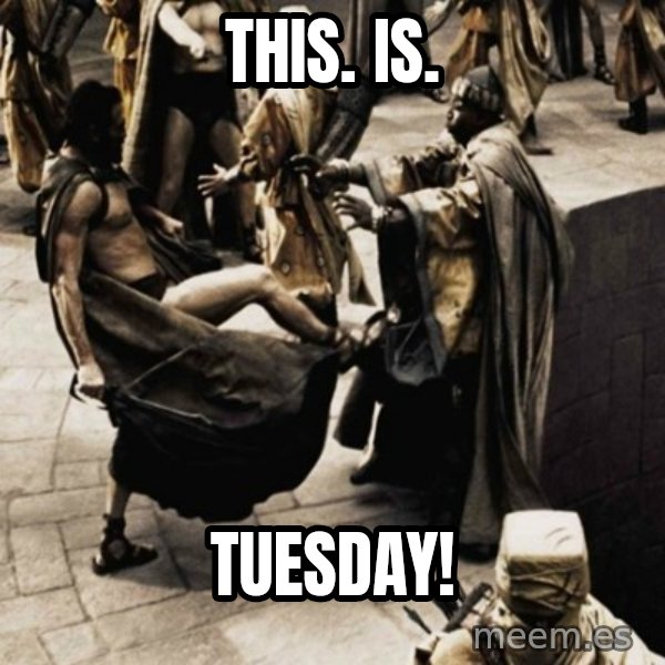 sparta kick meme: this. is. / tuesday!