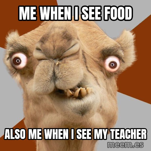 Crazy Camel lol meme: Me when i see food / also Me when i see my teacher