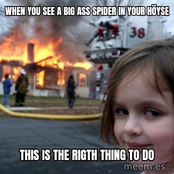 Disaster Girl meme: When you see a big ass spider in your höyse / this is the rigth thing to do