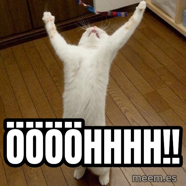 praise the lord cat meme: ÖÖÖÖHHHH!!
