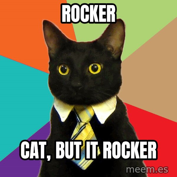 Business Cat meme: rocker / cat, but it rocker