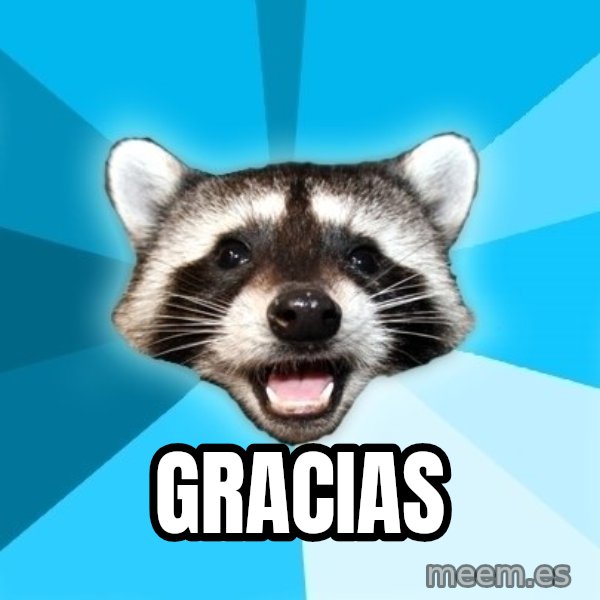 Lame Pun Coon meme: gracias