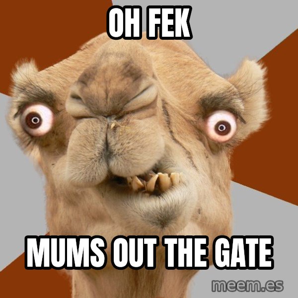 Crazy Camel lol meme: OH FEK / MUMS OUT THE GATE