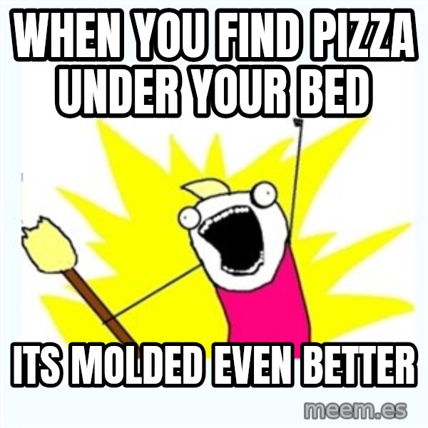 All the things meme: When you find pizza under your bed / ITS molded EVEN BETTER