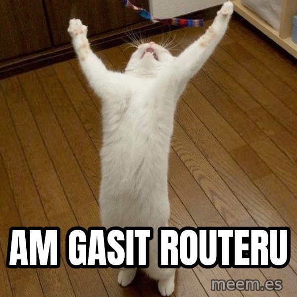 praise the lord cat meme: Am gasit routeru