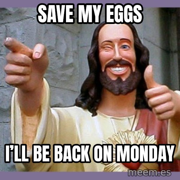 buddy jesus meme: Save my eggs / I’ll be back on Monday