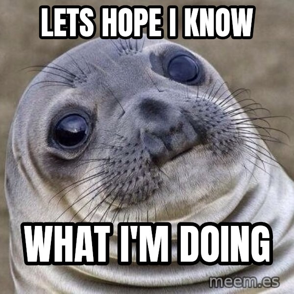 Awkward Seal meme: Lets hope I know / what I'm doing