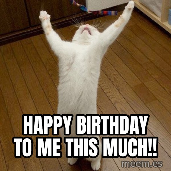 praise the lord cat meme: happy birthday to me this much!!