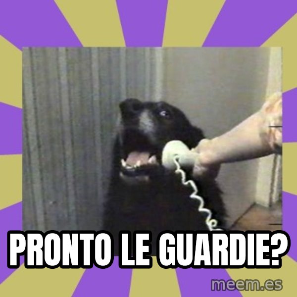 Yes, this is dog! meme: pronto le guardie?