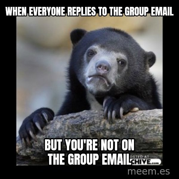 sad bear meme: When everyone replies to the group email / but you're not on the group email