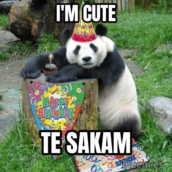 Happy Birthday Panda meme: I'm cute / te sakam
