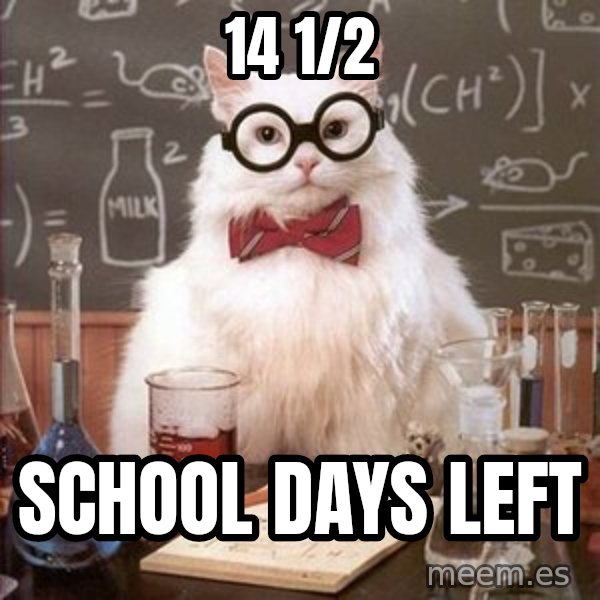 Chemistry Cat meme: 14 1/2 / School Days Left