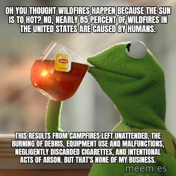 Kermit The Frog Drinking Tea meme: Oh you thought wildfires happen because the sun is to hot? No, nearly 85 percent of wildfires in the United States are caused by humans. / This results from campfires left unattended, the burning of debris, equipment use and malfunctions, negligently discarded cigarettes, and intentional acts of arson. But that's none of my business.