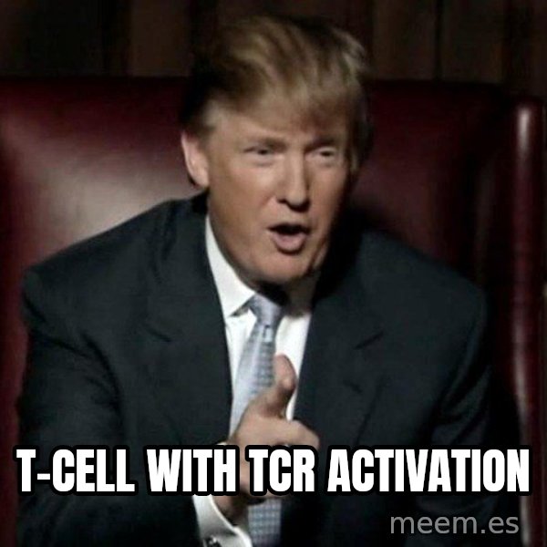Donald Trump meme: T-cell with TCR activation