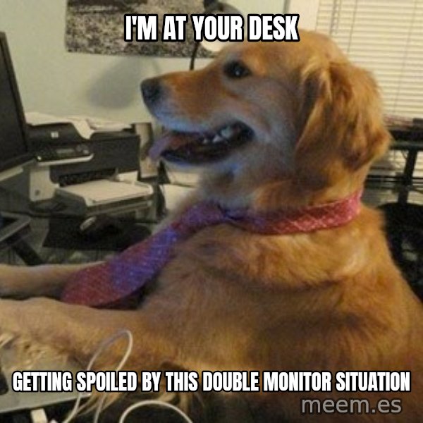 I have no idea what I'm doing - Dog with Tie meme: I'm at your desk / getting spoiled by this double monitor situation