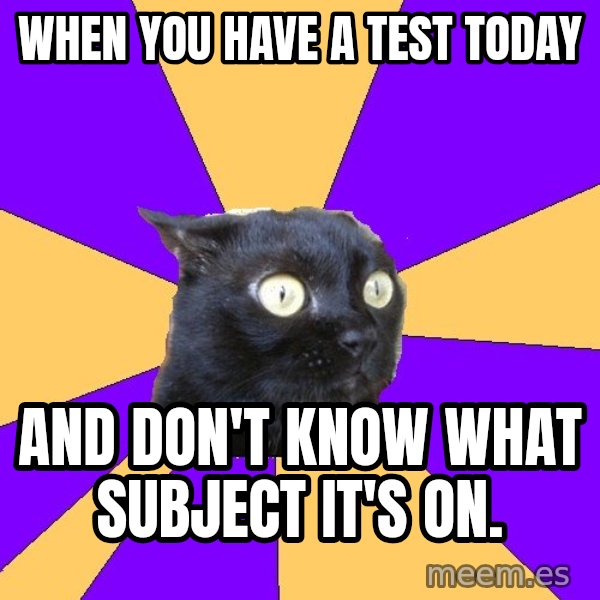 Anxiety Cat meme: When you have a test today / And don't know what subject it's on.