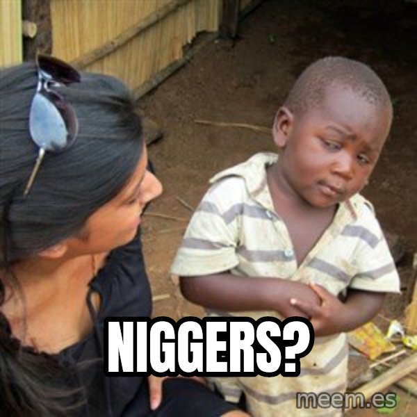 Skeptical 3rd World Kid meme: Niggers?