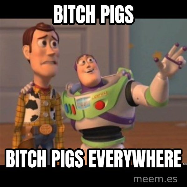 Buzz lightyear meme fixd meme: Bitch Pigs / Bitch Pigs Everywhere
