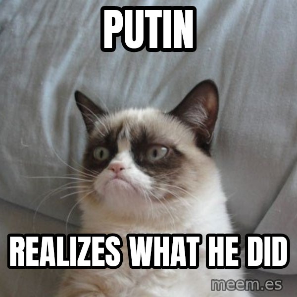 Grumpy cat good meme: Putin / realizes what he did