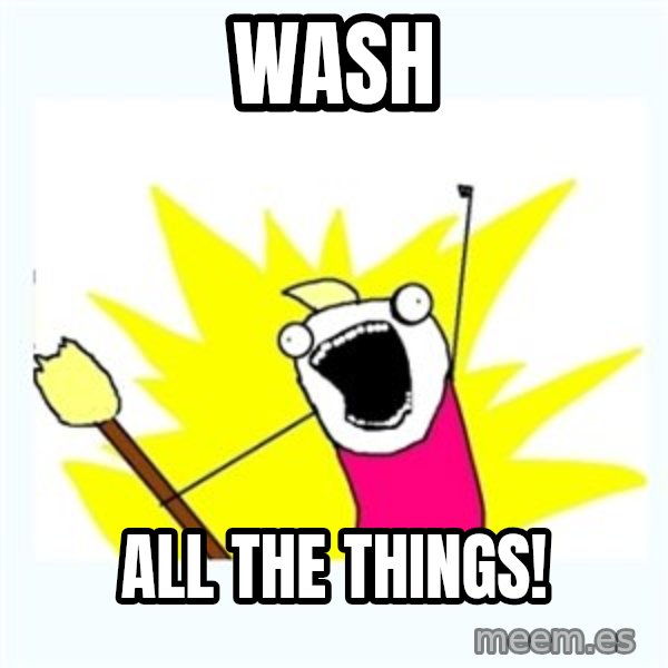 All the things meme: WASH / ALL THE THINGS!