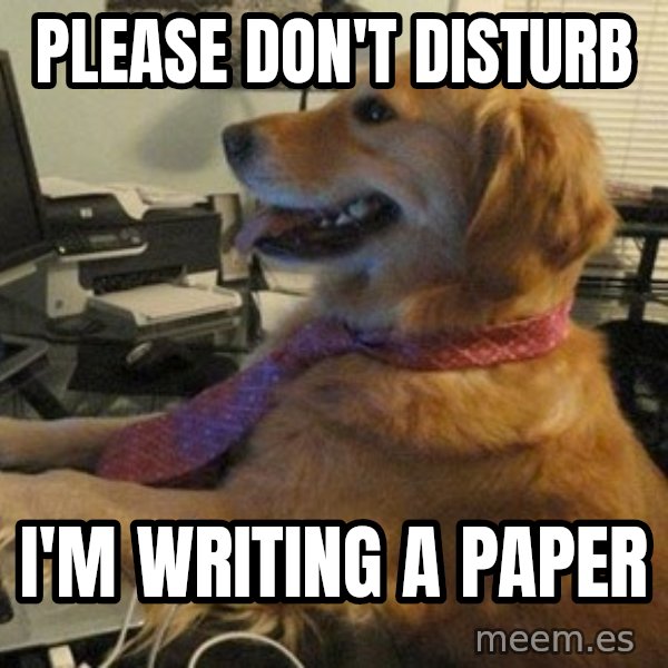 I have no idea what I'm doing - Dog with Tie meme: Please don't disturb / I'm writing a paper