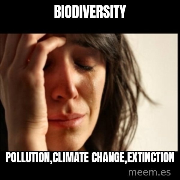 First World Problems meme: Biodiversity / Pollution,Climate change,Extinction