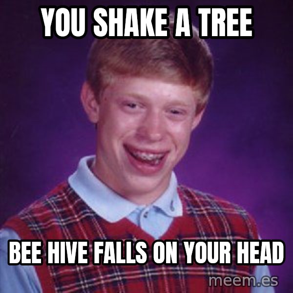Bad Luck Brian meme: You shake a tree / bee hive falls on your head