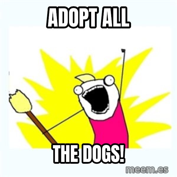 All the things meme: Adopt all / the dogs!