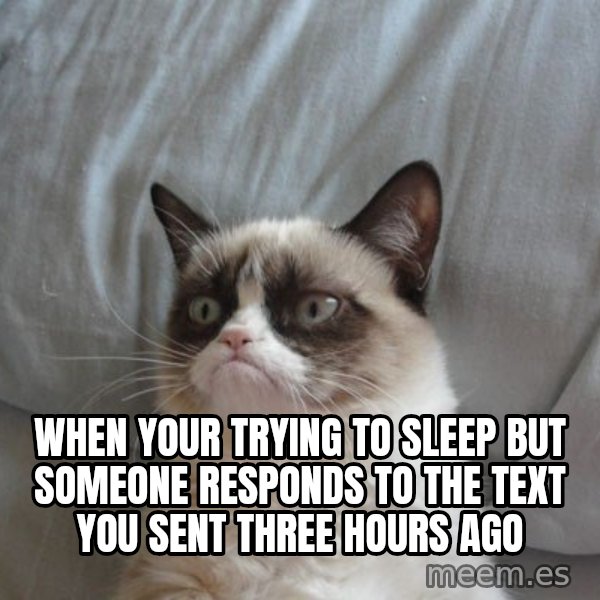 Grumpy cat good meme: When your trying to sleep but someone responds to the text you sent three hours ago