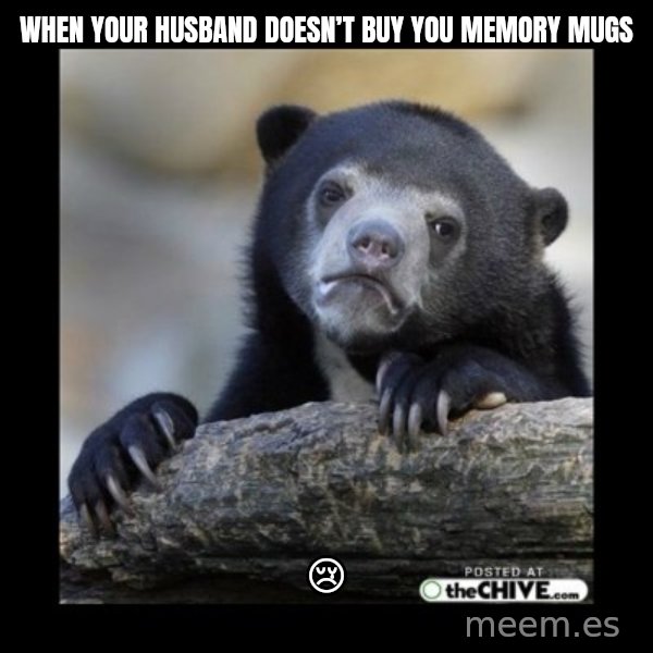 sad bear meme: When your husband doesn’t buy you memory mugs / 😢