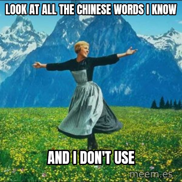 Look at all the things meme: Look at all the chinese words I know / and I don't use