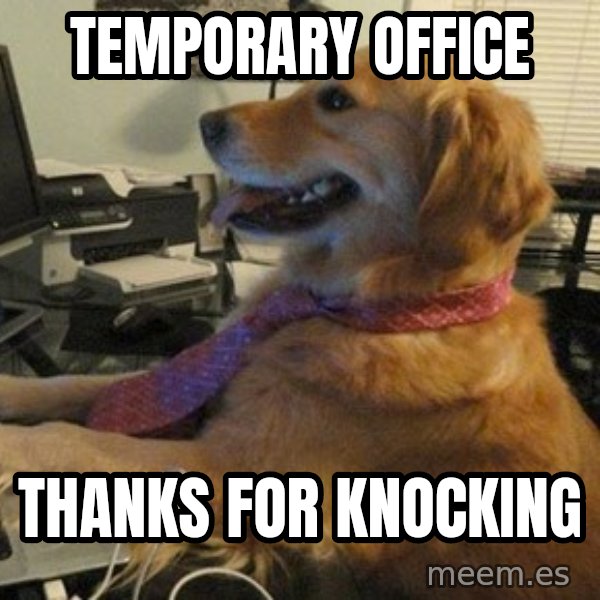 I have no idea what I'm doing - Dog with Tie meme: temporary office / THANKS for knocking