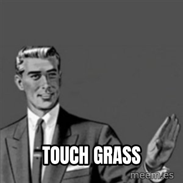 Correction Guy meme: touch grass