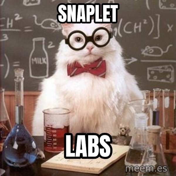 Chemistry Cat meme: snaplet / labs