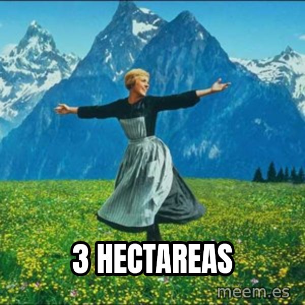 Look at all the things meme: 3 HECTAREAS