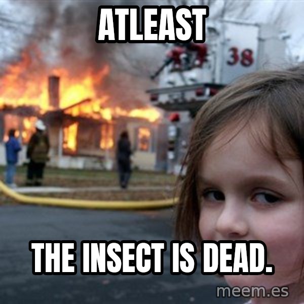 Disaster Girl meme: Atleast / The Insect is Dead.