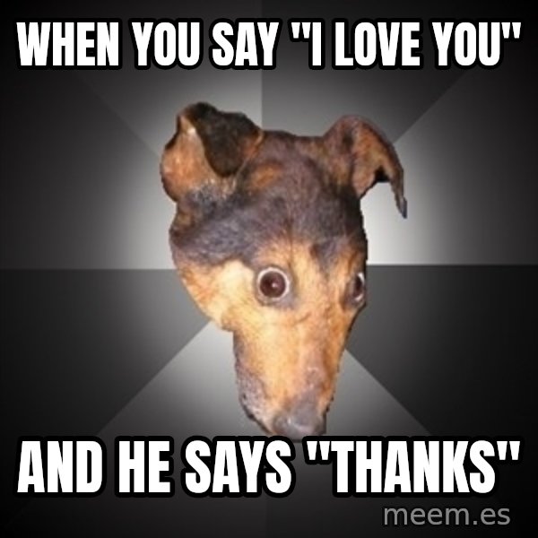 Depression Dog meme: When you say "I Love You" / And he says "Thanks"