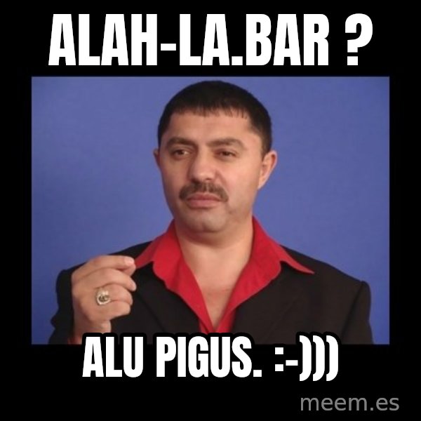 Manelistul Nicolae Guta meme: alah-la.bar ? / Alu pigus. :-)))
