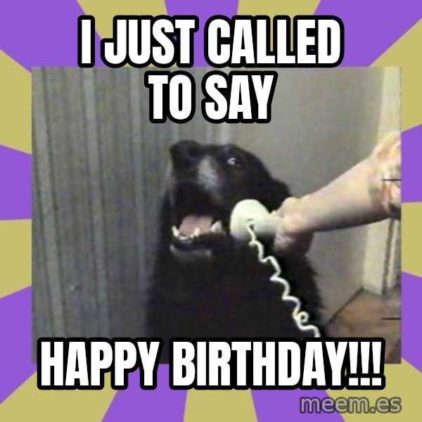 Yes, this is dog! meme: I just called to say / Happy Birthday!!!