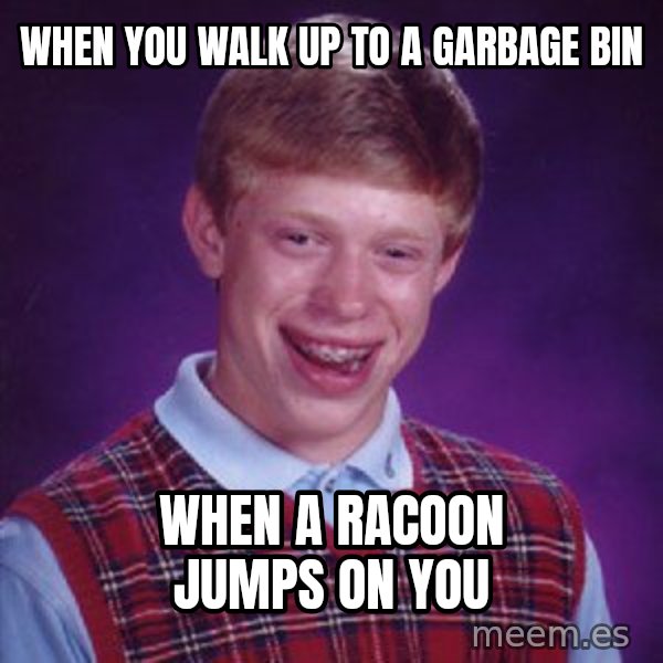 Bad Luck Brian meme: When you walk up to a garbage bin / when a racoon jumps on you