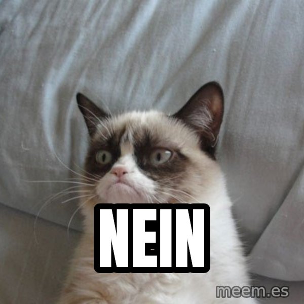 Grumpy cat good meme: NEIN