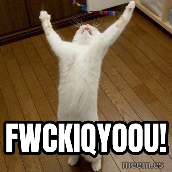 praise the lord cat meme: Fwckiqyoou!