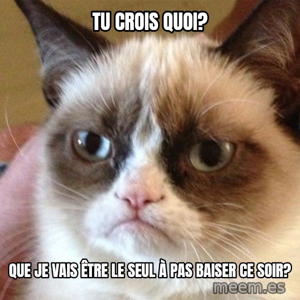 Angry Cat Meme meme: Tu crois quoi? / Que je vais être le seul à pas baiser ce soir?